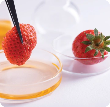 Food Testing